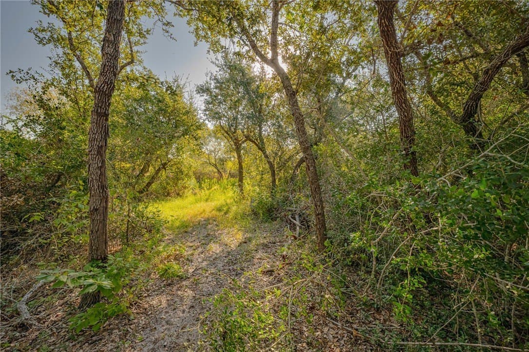 9.2 acres in Aransas County gallery image 4