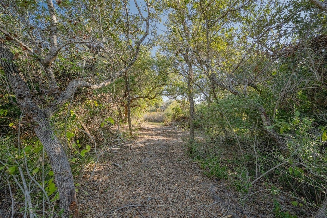 9.2 acres in Aransas County gallery image 2