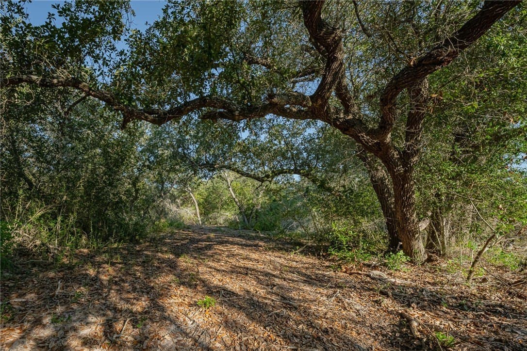 9.2 acres in Aransas County - photo 14