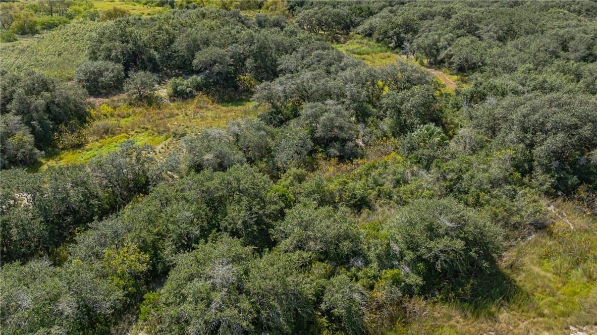 9.2 acres in Aransas County - photo 9