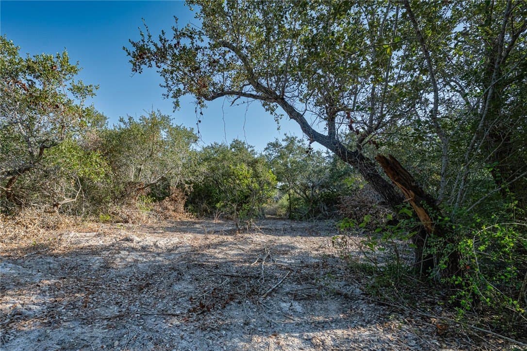 9.2 acres in Aransas County gallery image 3