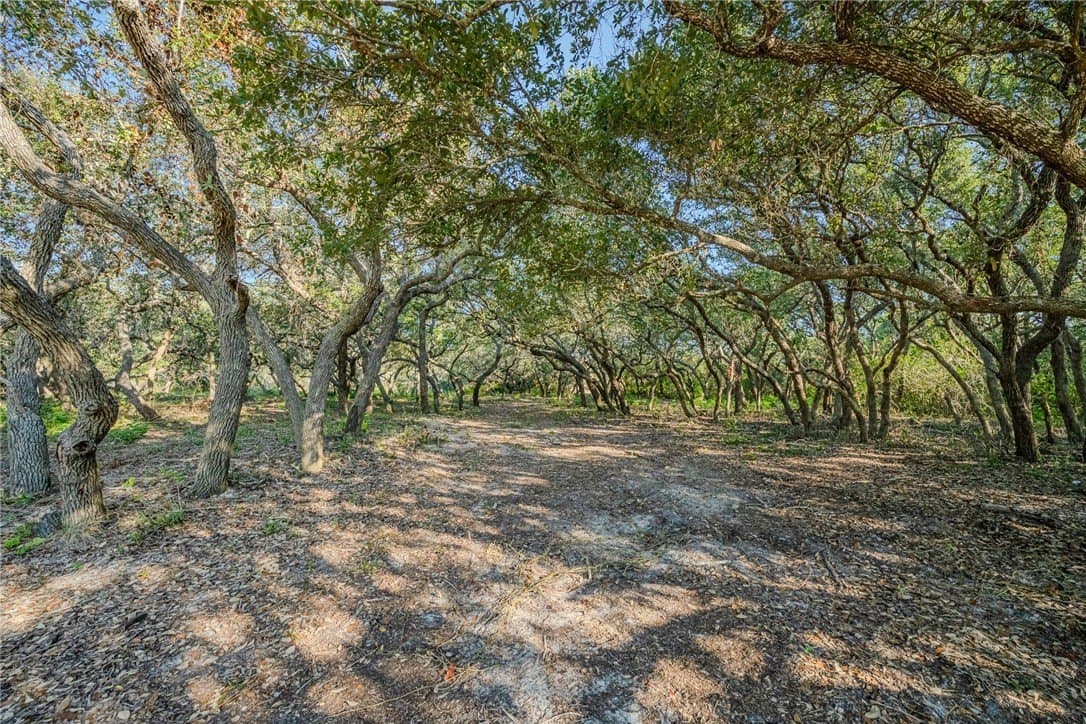 9.2 acres in Aransas County - photo 17