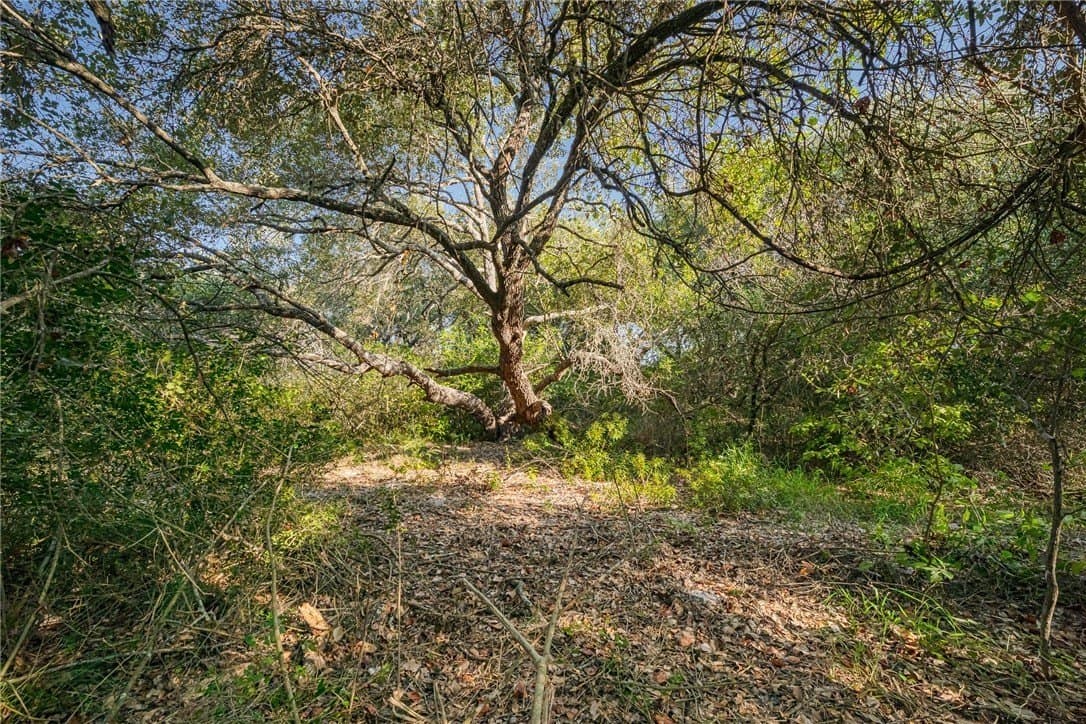 9.2 acres in Aransas County featured view
