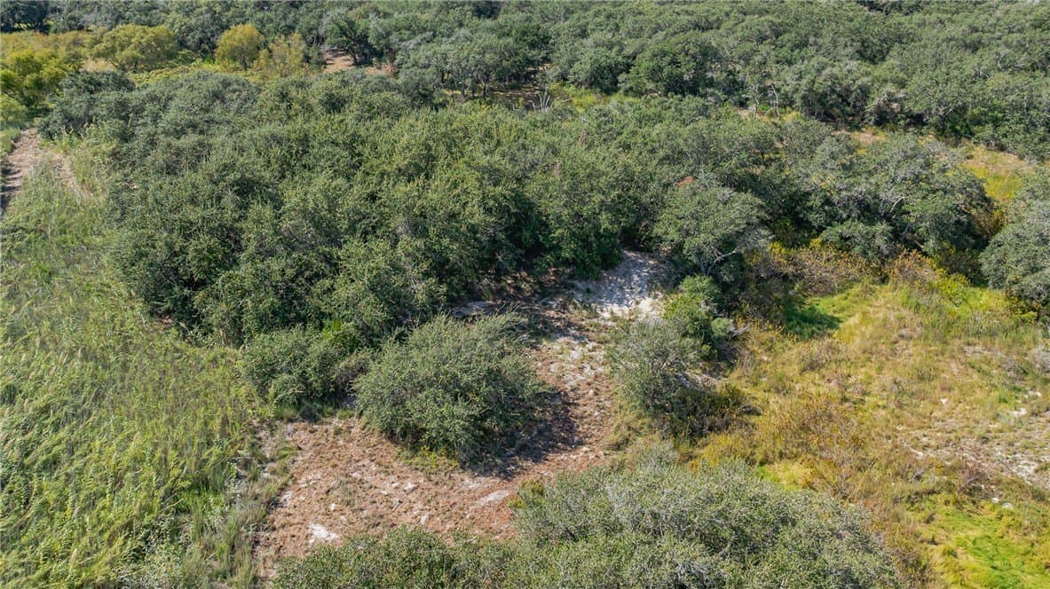 9.2 acres in Aransas County - photo 11