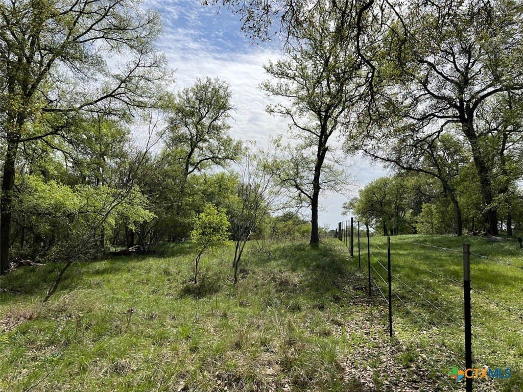 165.01 acres in Caldwell County - photo 9