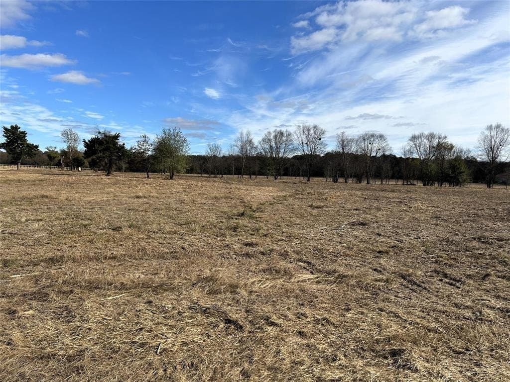 12.9 acres in Lamar County gallery image 2