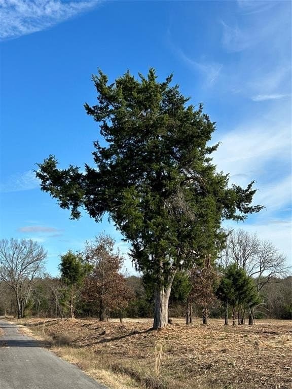 12.9 acres in Lamar County