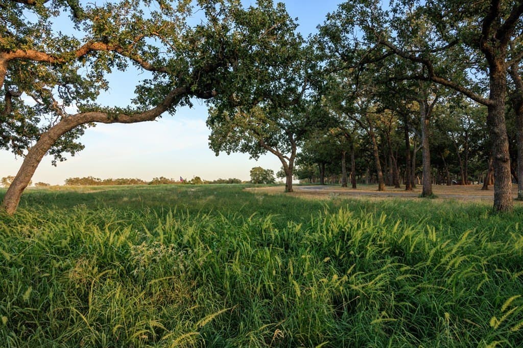 25 acres in Gillespie County - photo 36