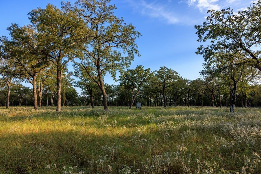 25 acres in Gillespie County - photo 30