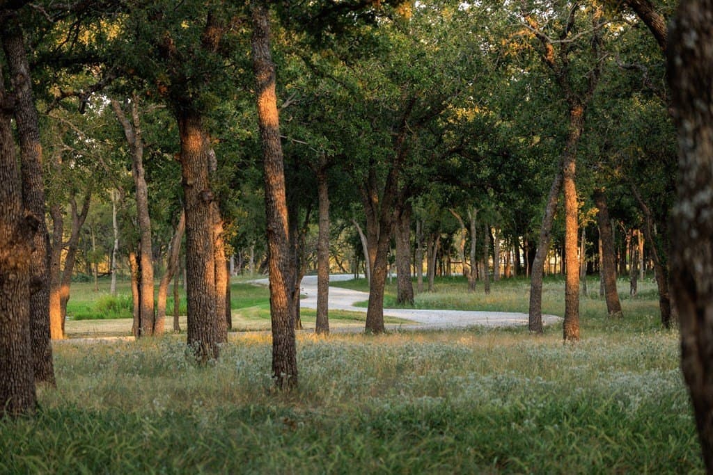 25 acres in Gillespie County - photo 38