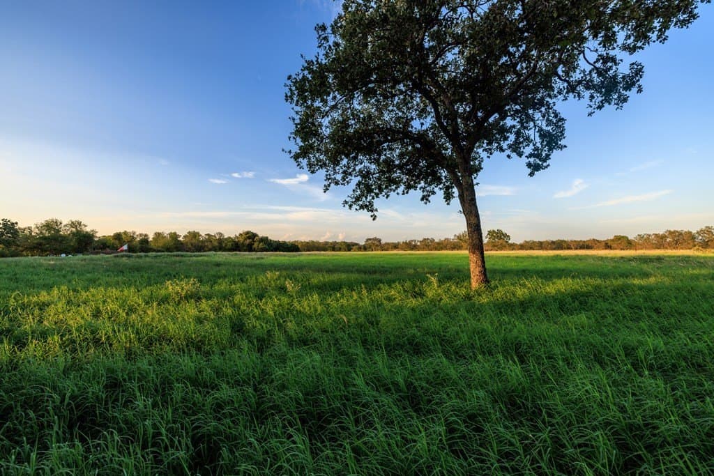 25 acres in Gillespie County - photo 33
