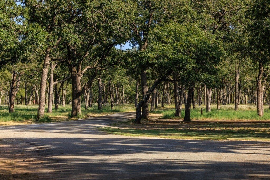 25 acres in Gillespie County - photo 28