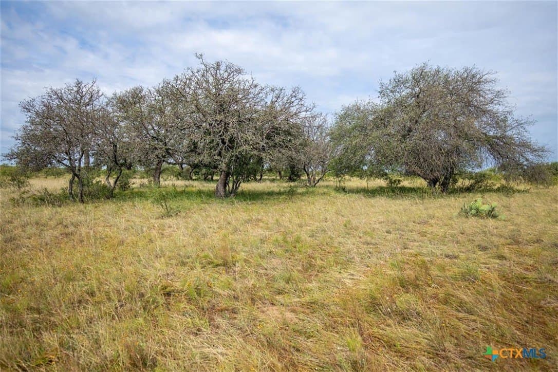 21.41 acres in Llano County - photo 6