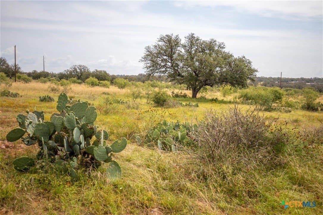 21.41 acres in Llano County - photo 13