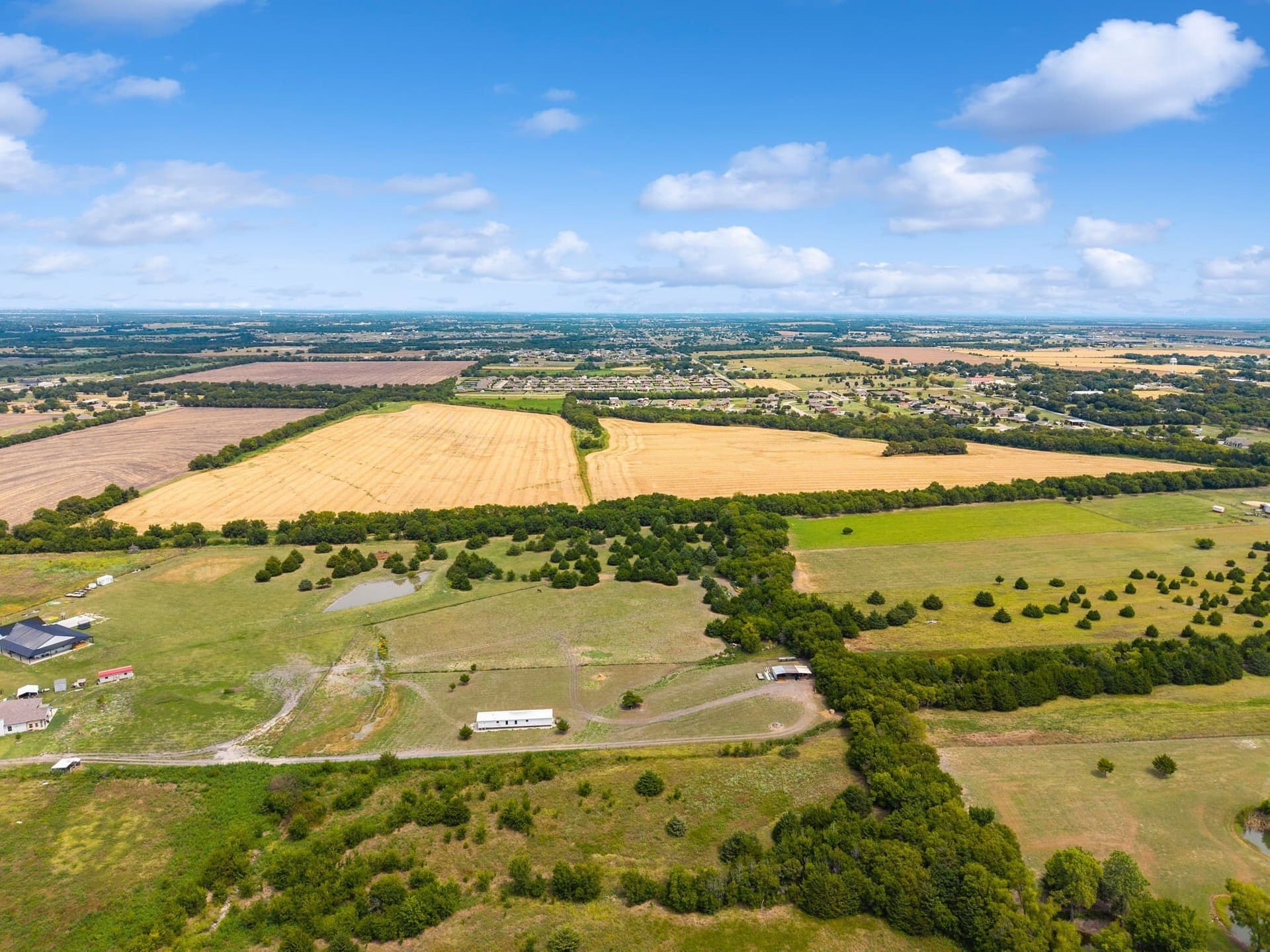 46.17 acres in Collin County - photo 12