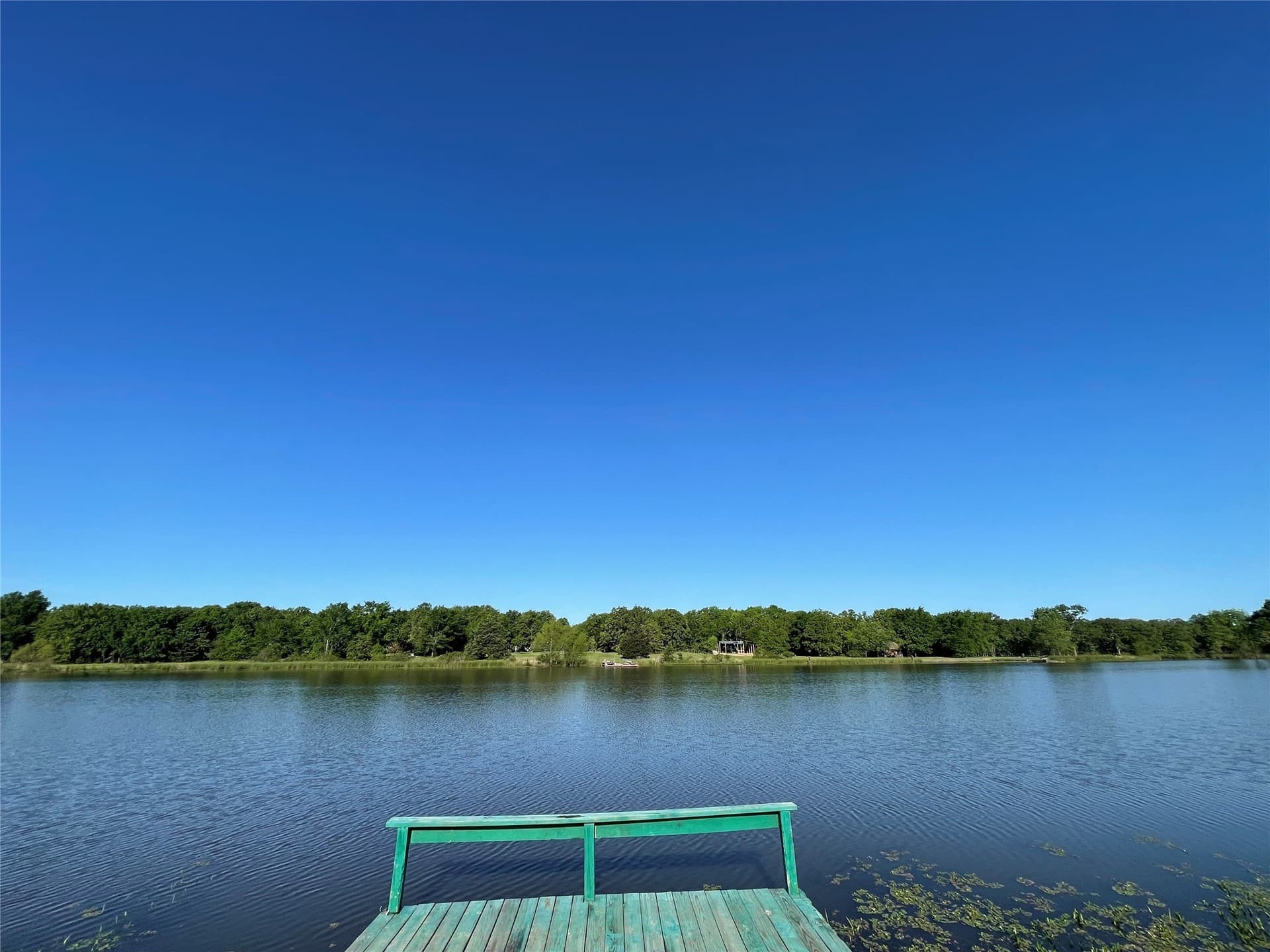 3 acres in Rains County gallery image 3