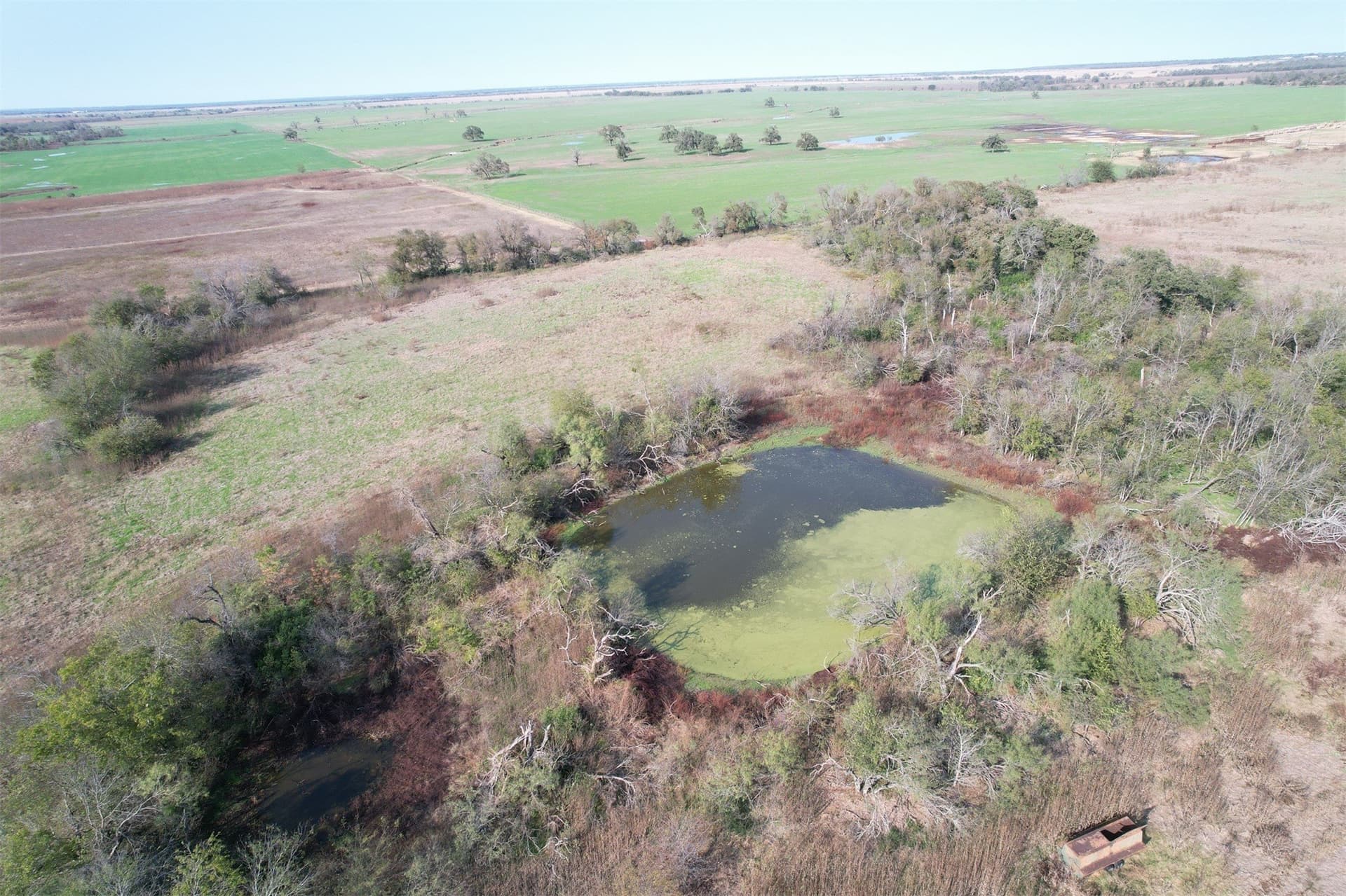 123.5 acres in Falls County gallery image 3