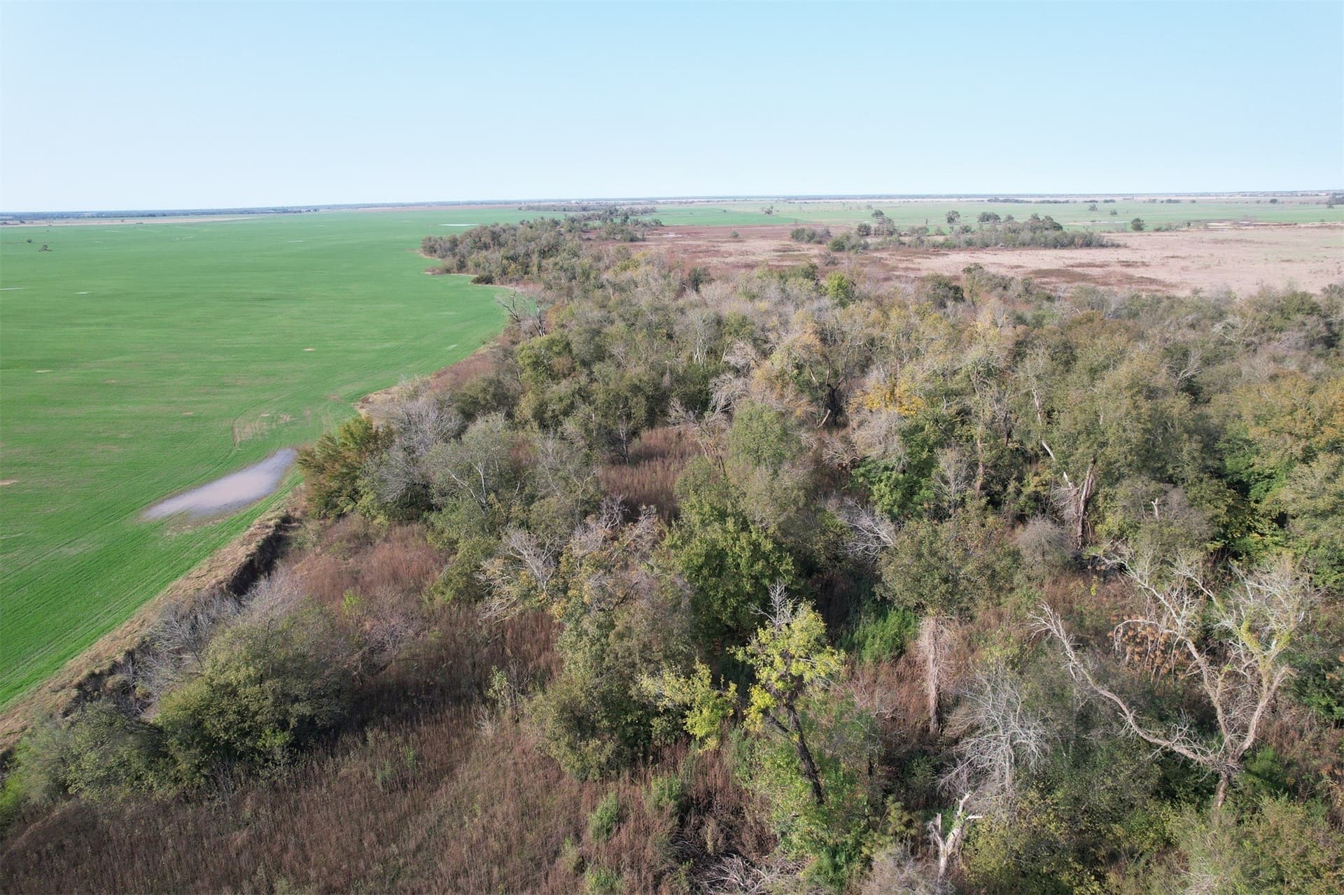 123.5 acres in Falls County - photo 6
