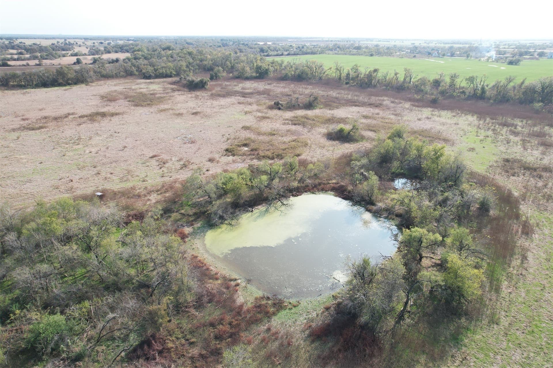 123.5 acres in Falls County gallery image 2