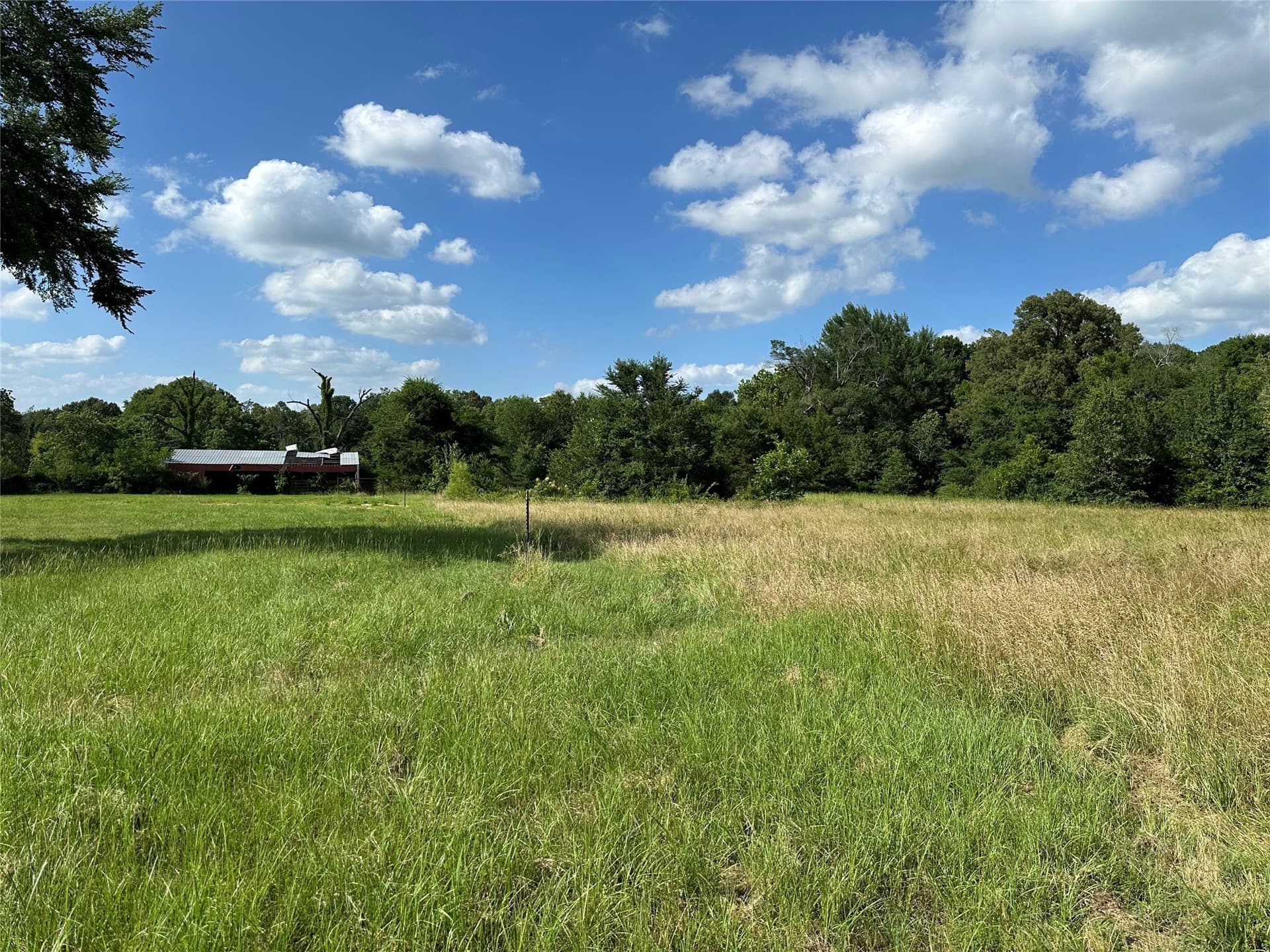 3.9 acres in Lamar County gallery image 3