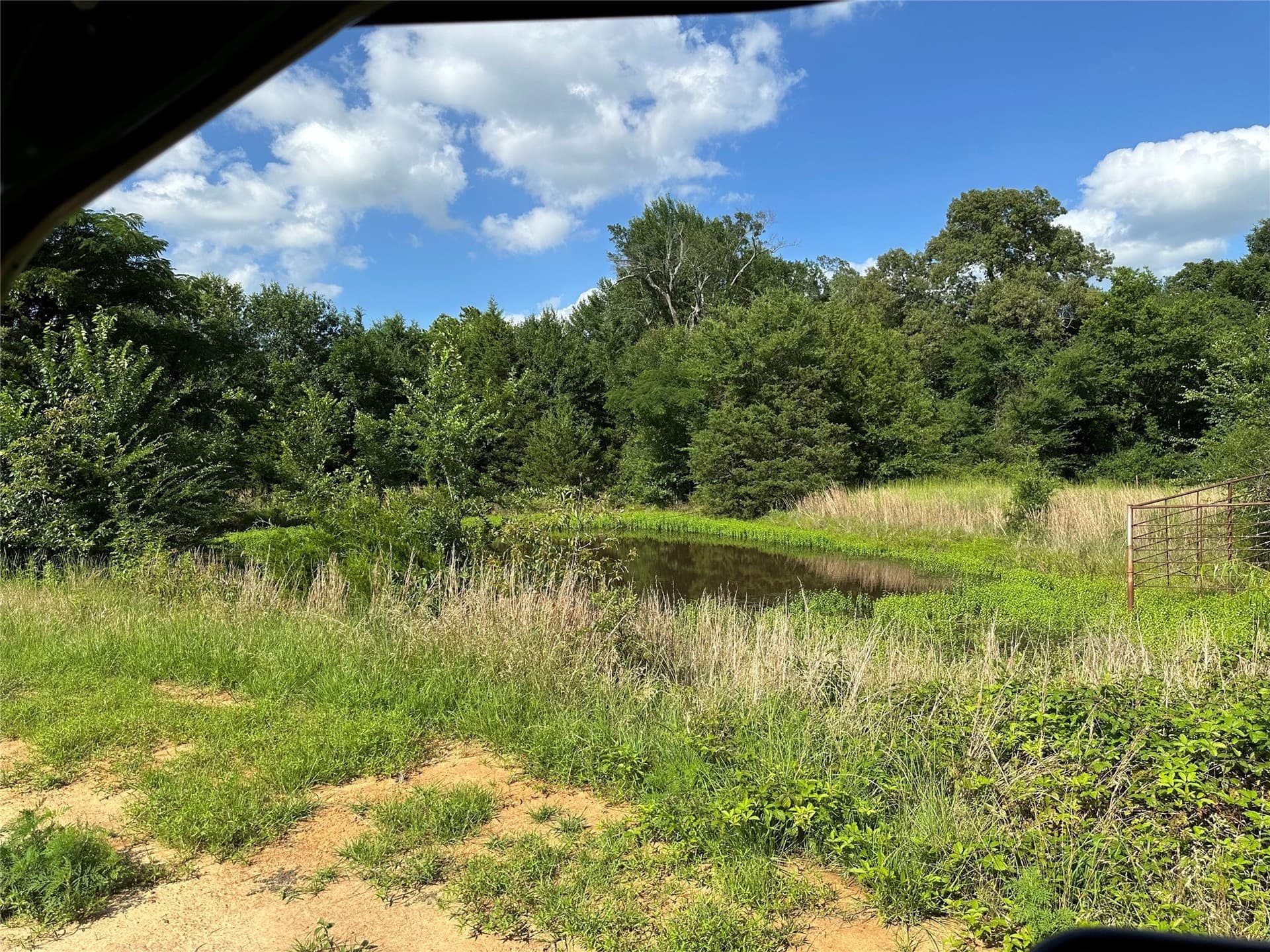 3.9 acres in Lamar County gallery image 2