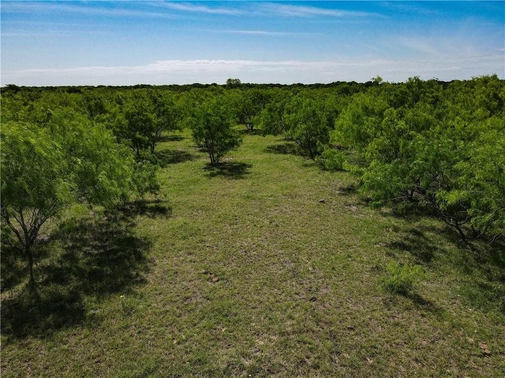 78 acres in Navarro County featured view