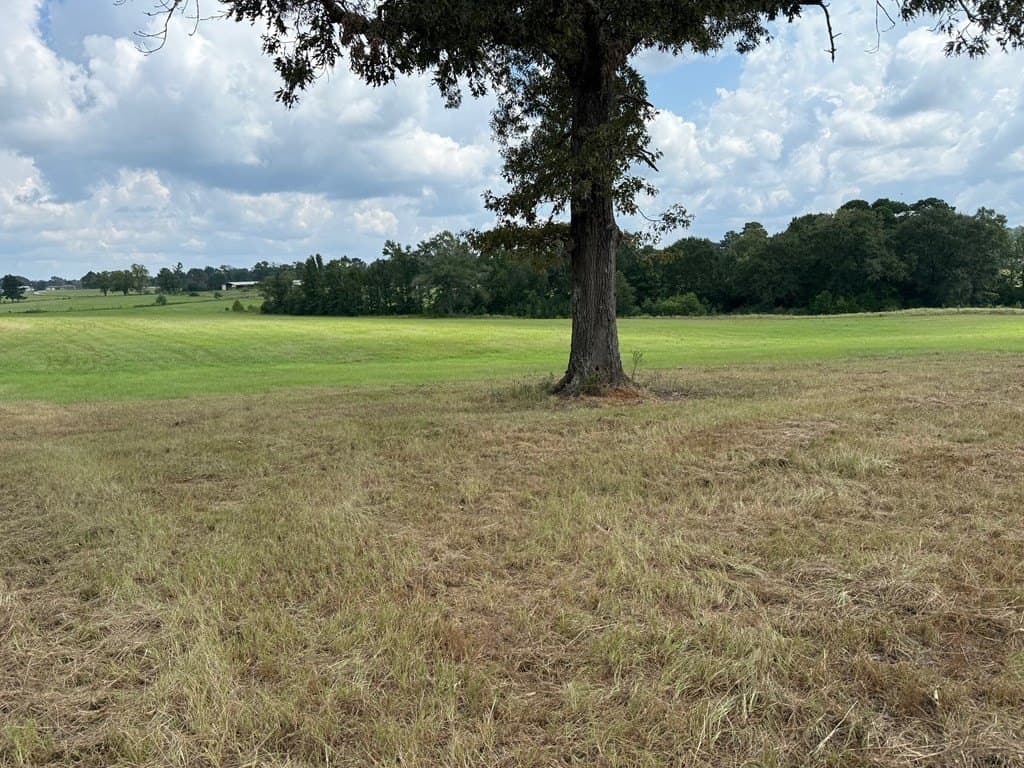 24 acres in Texas County - photo 25