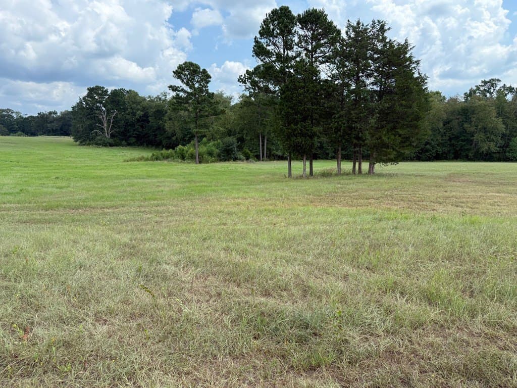 24 acres in Texas County - photo 24