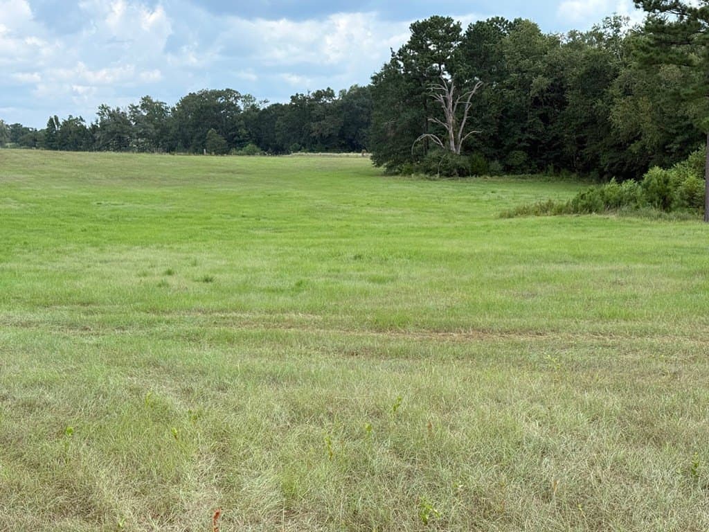 24 acres in Texas County - photo 22