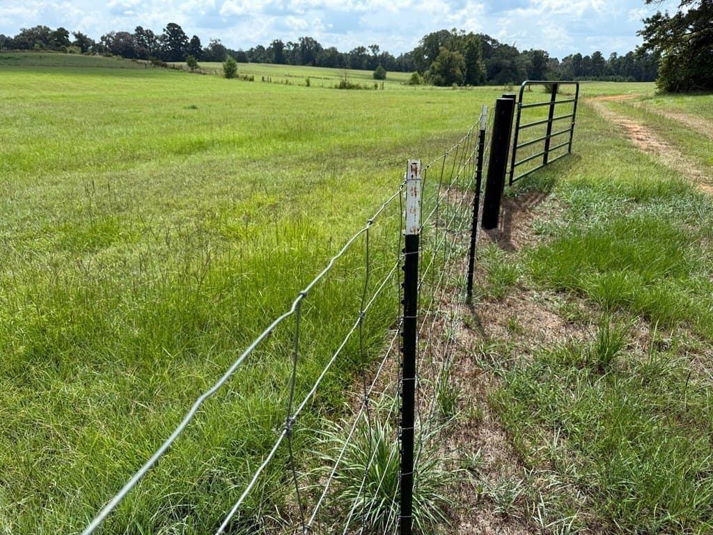 24 acres in Texas County - photo 29