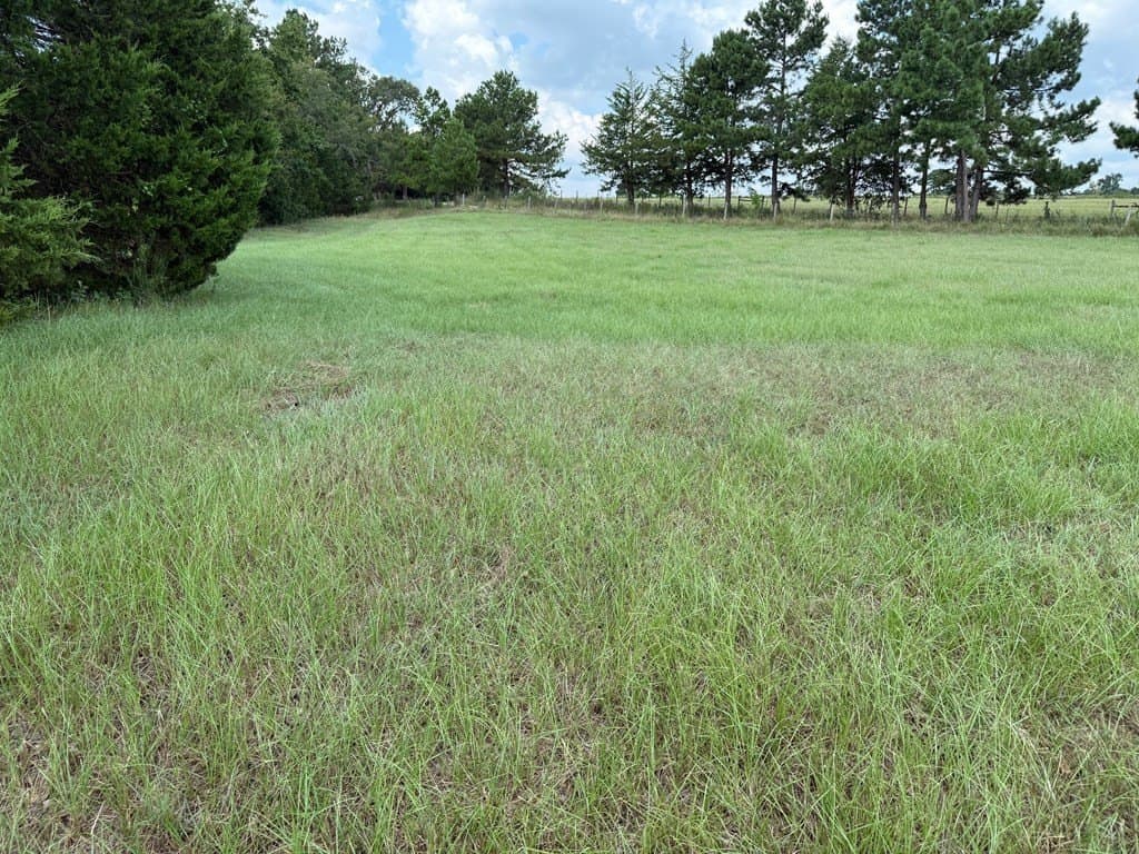 24 acres in Texas County - photo 27