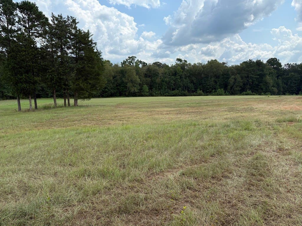 24 acres in Texas County - photo 23