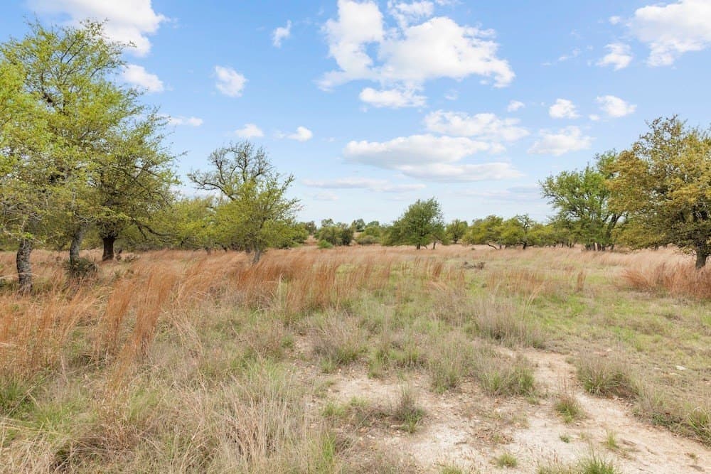 11.36 acres in Gillespie County - photo 30