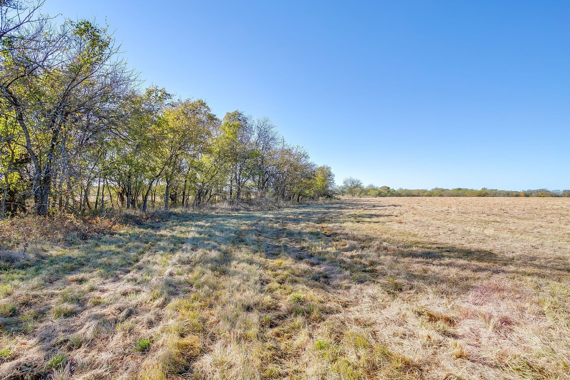 39 acres in Johnson County - photo 17