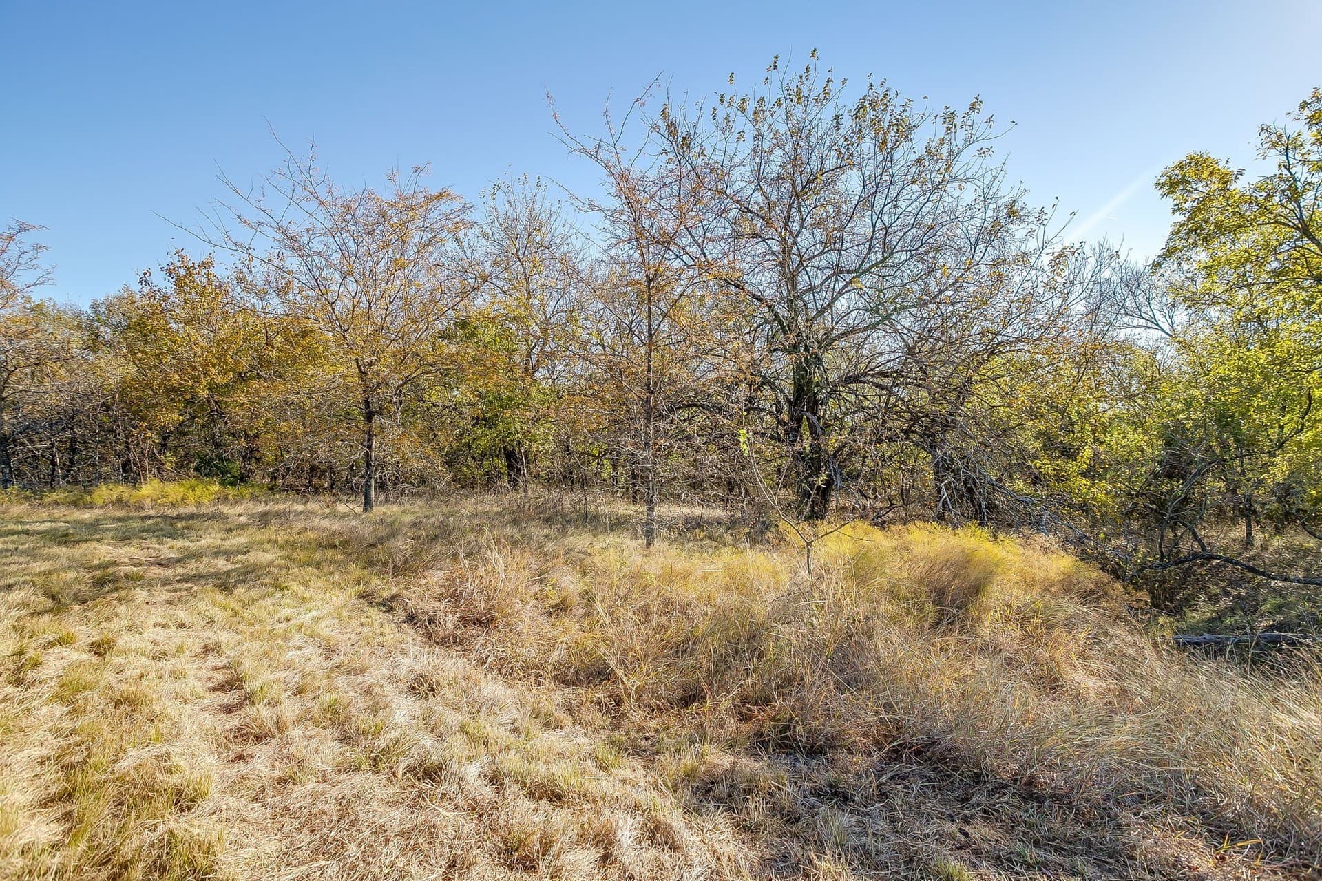 39 acres in Johnson County - photo 16