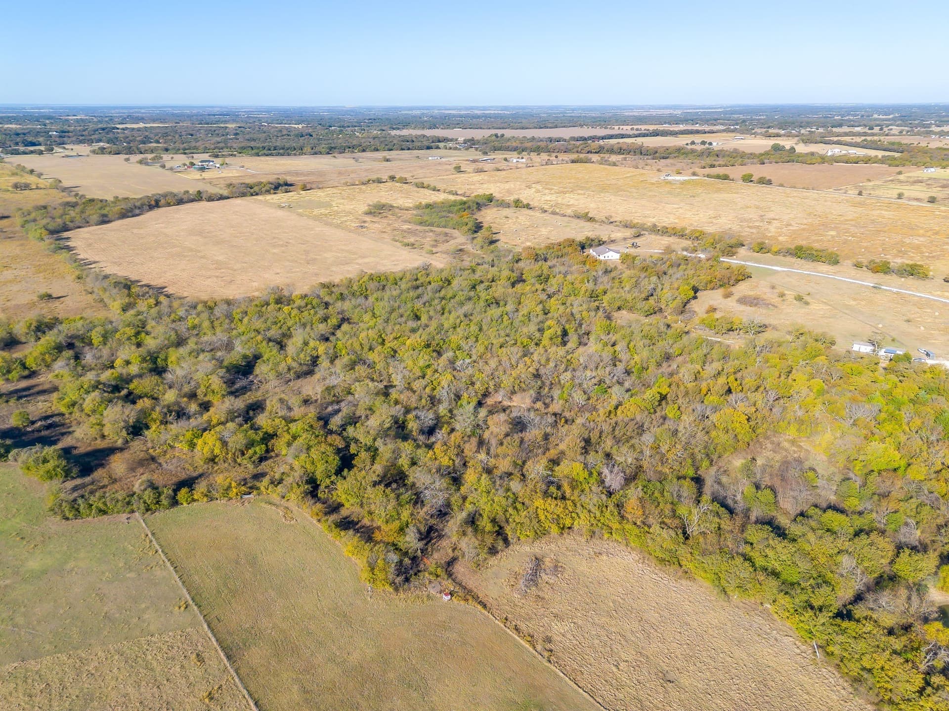 39 acres in Johnson County - photo 5