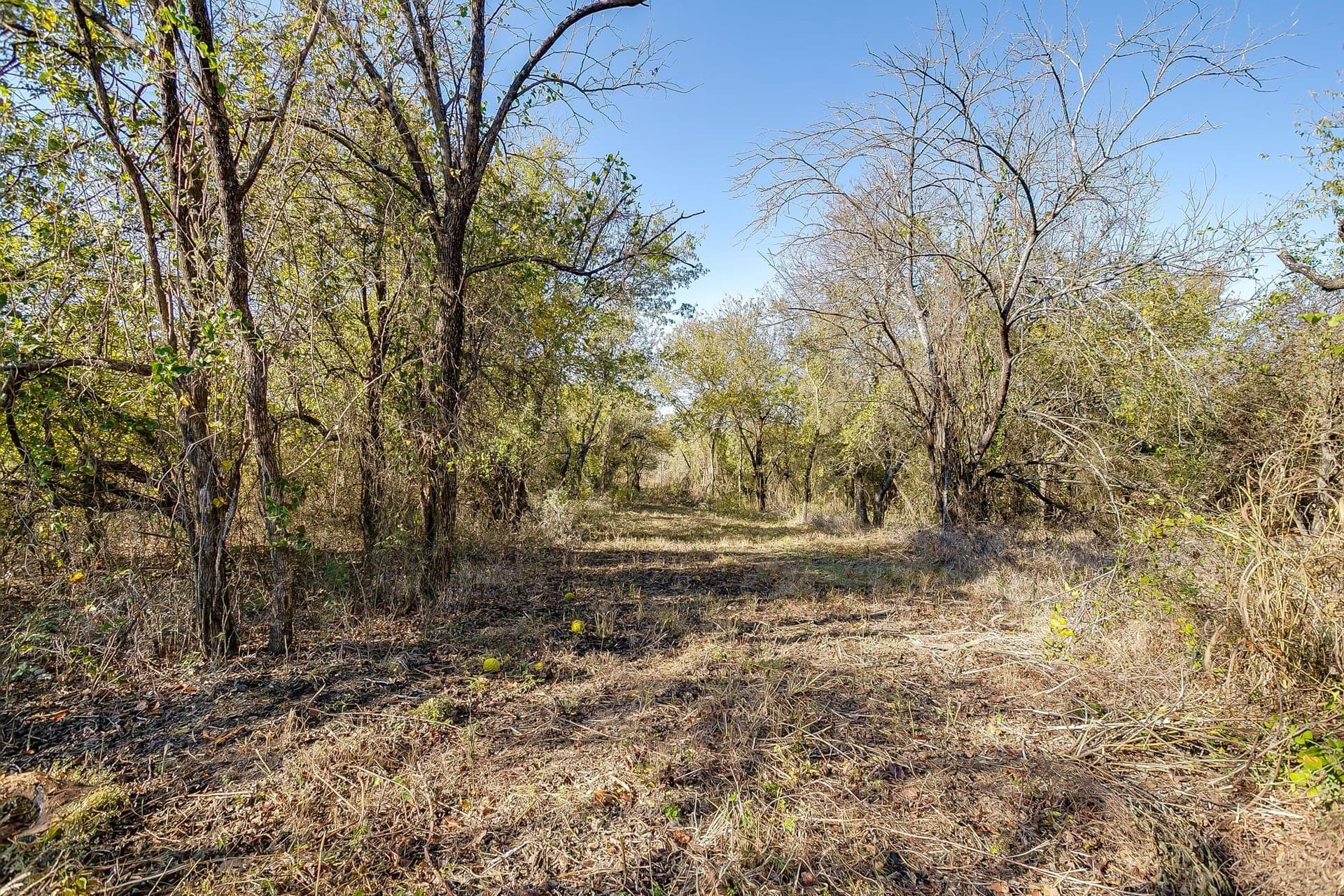 39 acres in Johnson County - photo 13