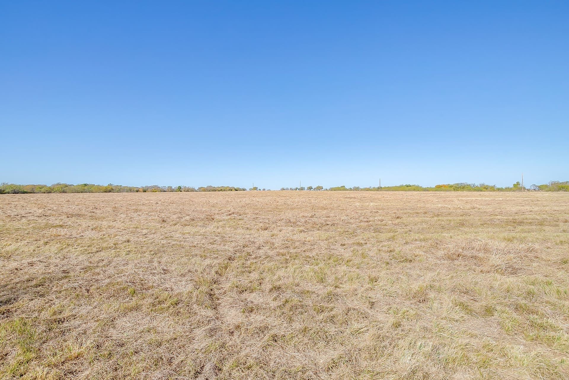 39 acres in Johnson County - photo 18