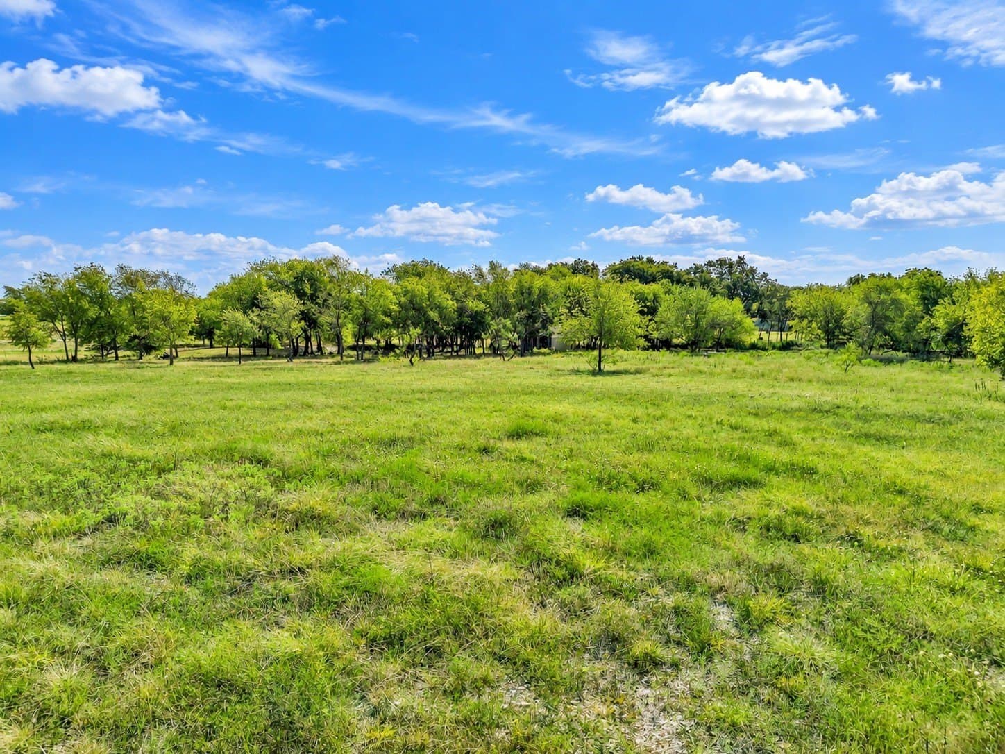 2 acres in Hill County - photo 6