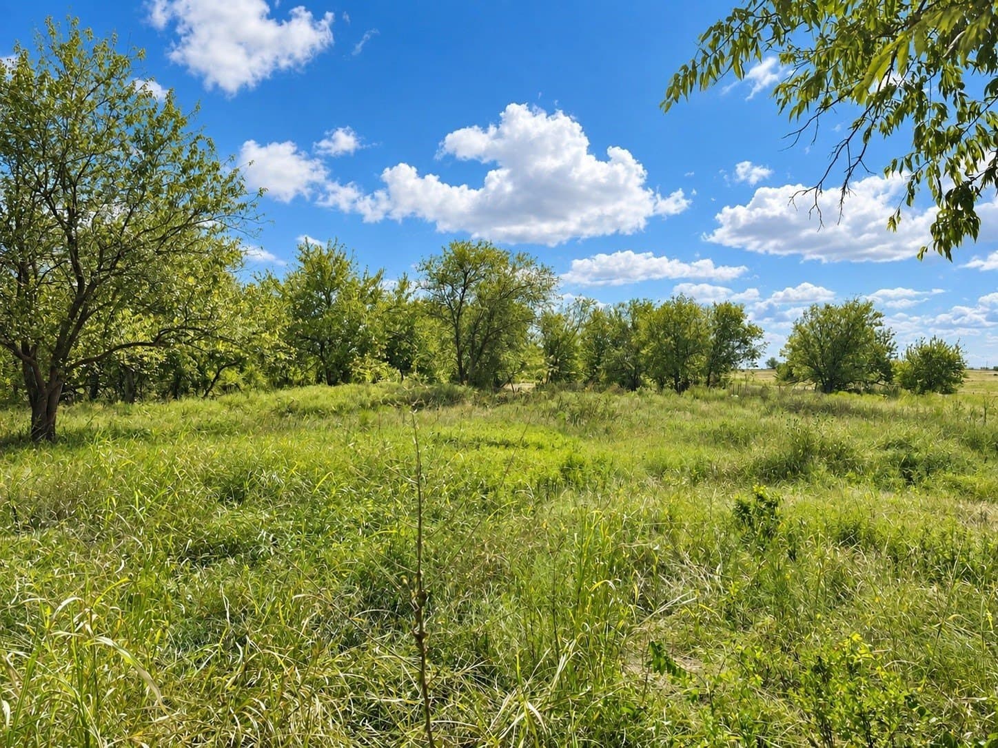 2 acres in Hill County - photo 7
