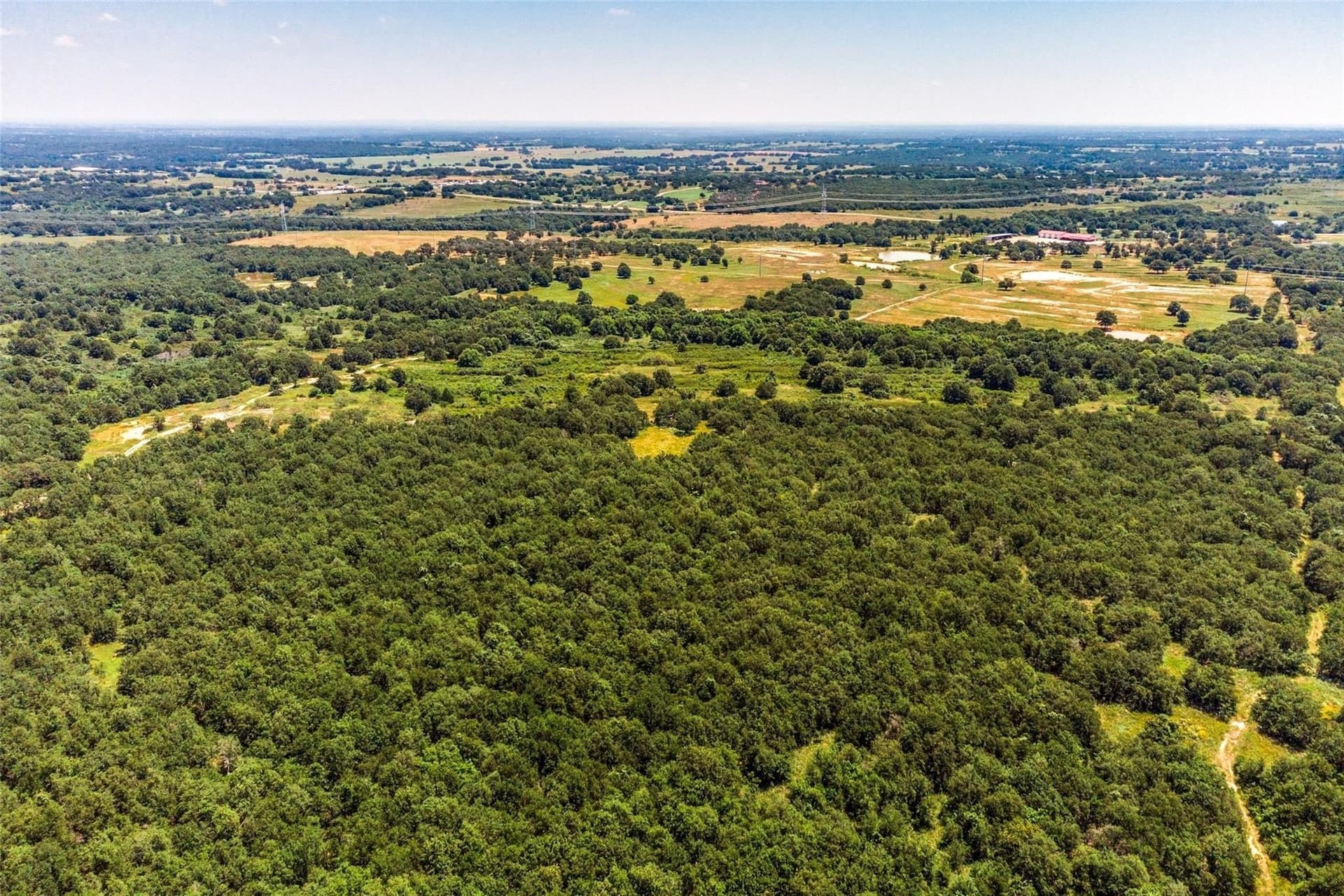 391 acres in Wise County - photo 40