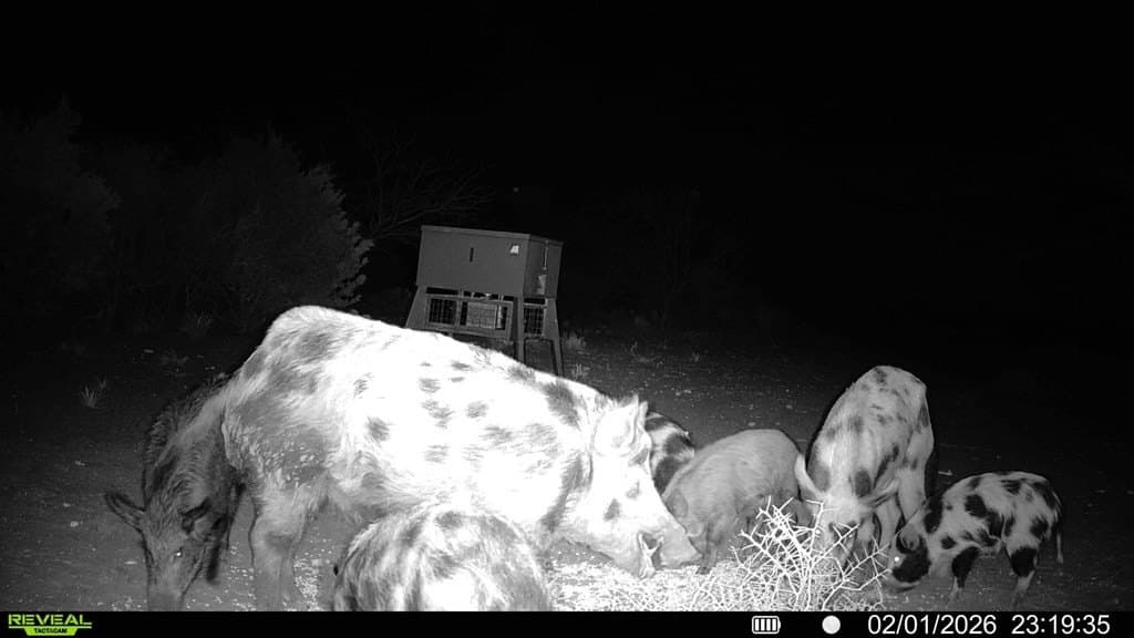 43 acres in McCulloch County - photo 57