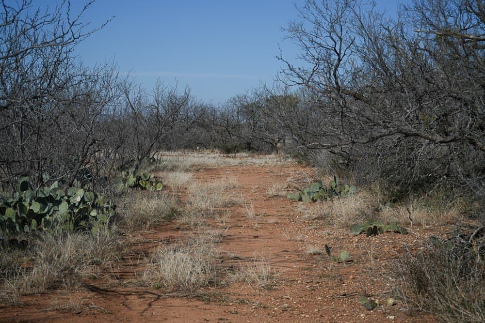 43 acres in McCulloch County - photo 24