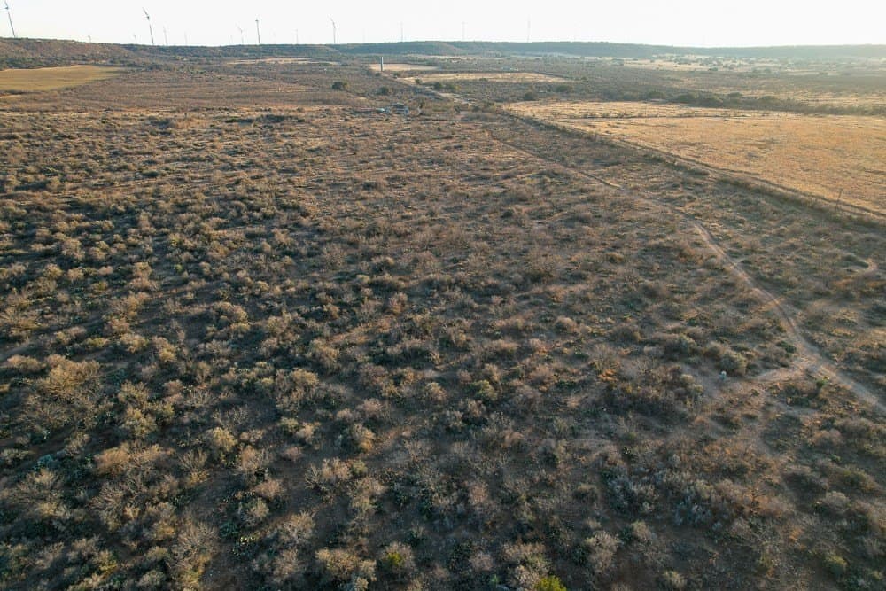 43 acres in McCulloch County - photo 2