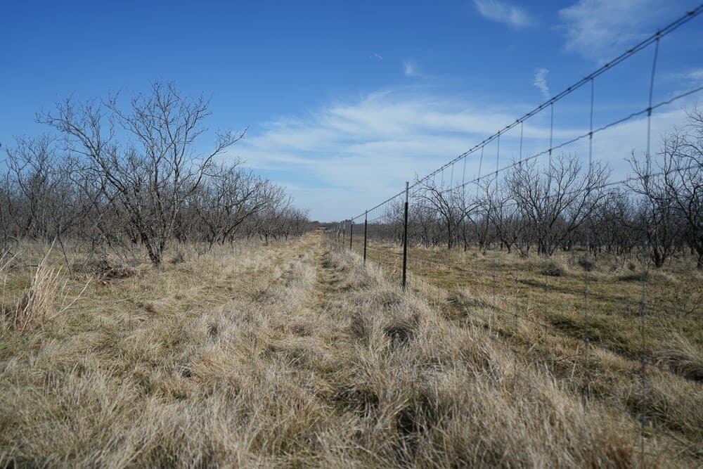 43 acres in McCulloch County - photo 20