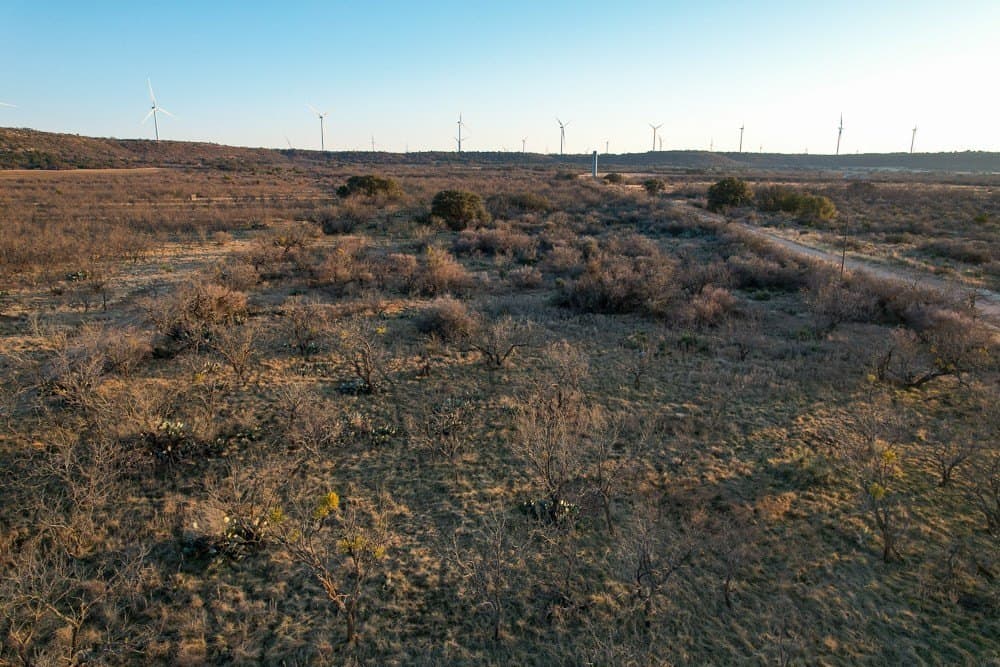 43 acres in McCulloch County - photo 5