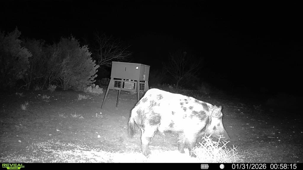 43 acres in McCulloch County - photo 56