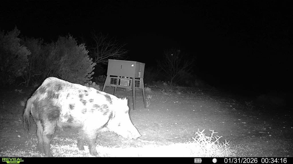 43 acres in McCulloch County - photo 55