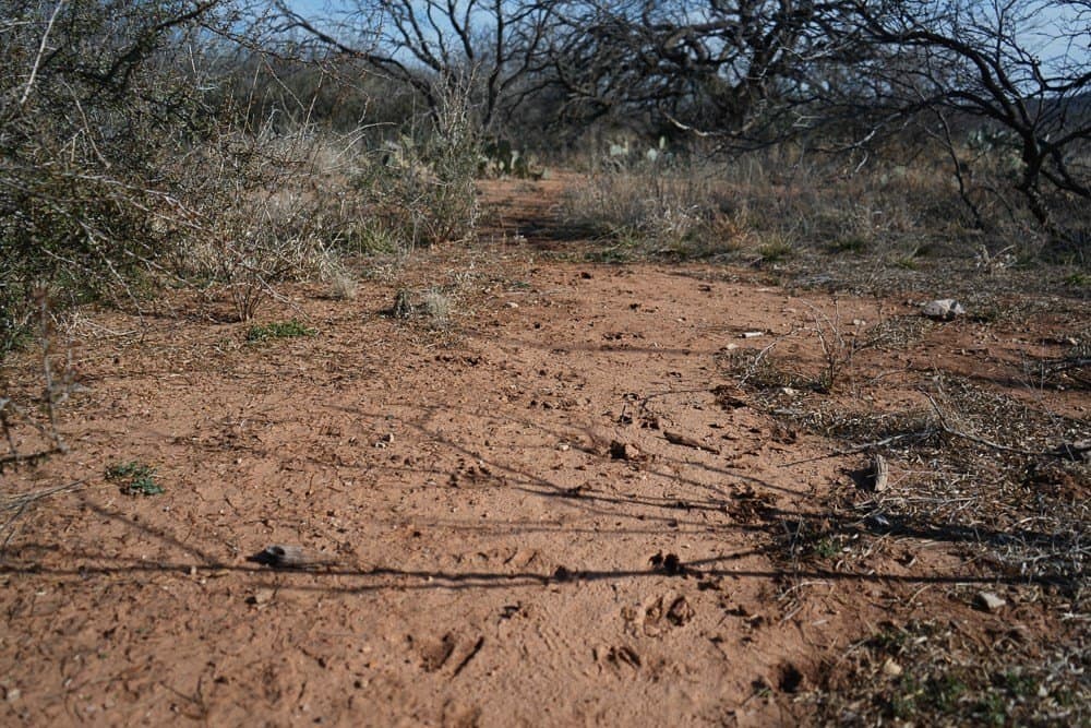 43 acres in McCulloch County - photo 27