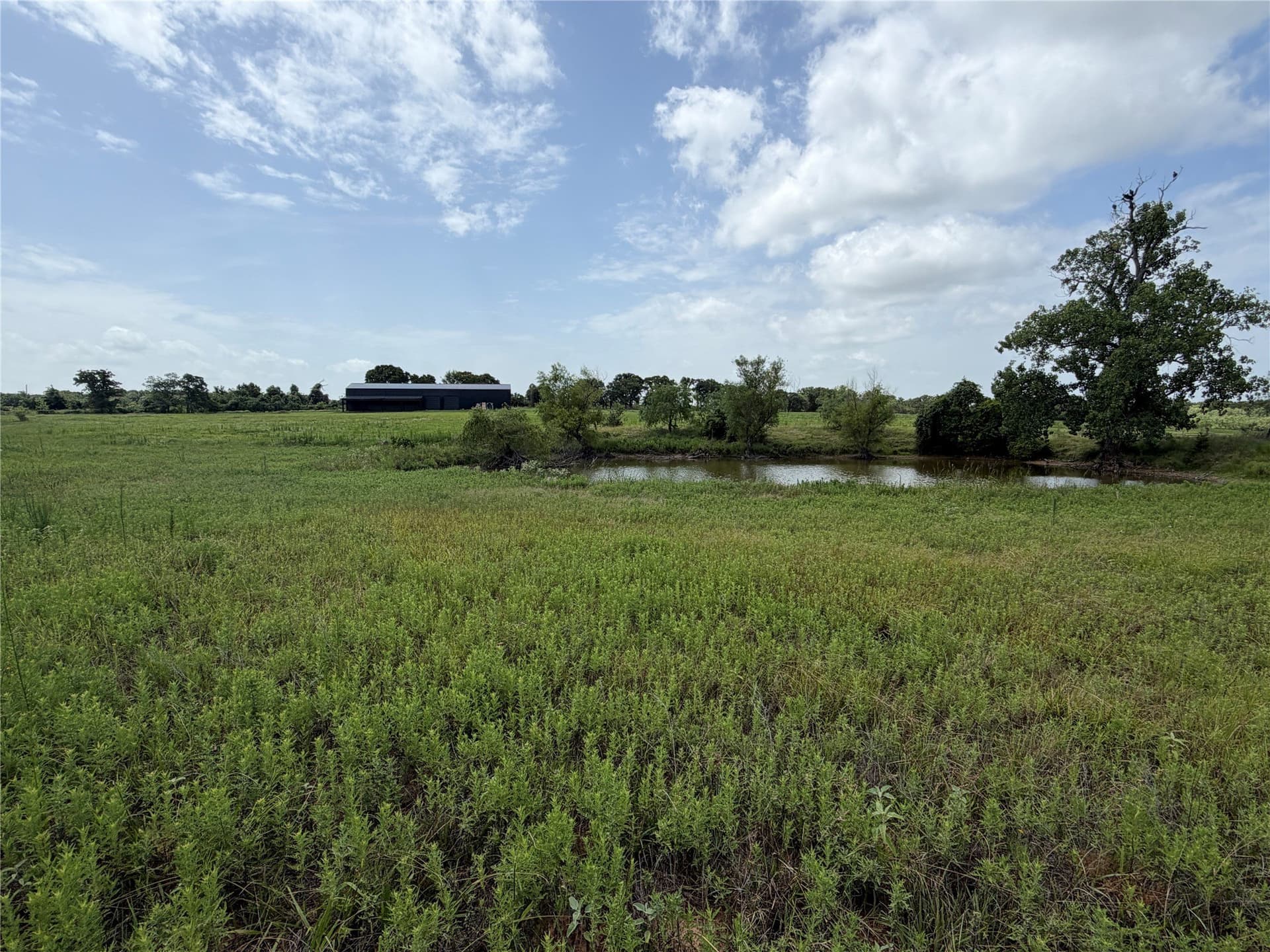 13 acres in Hill County - photo 12